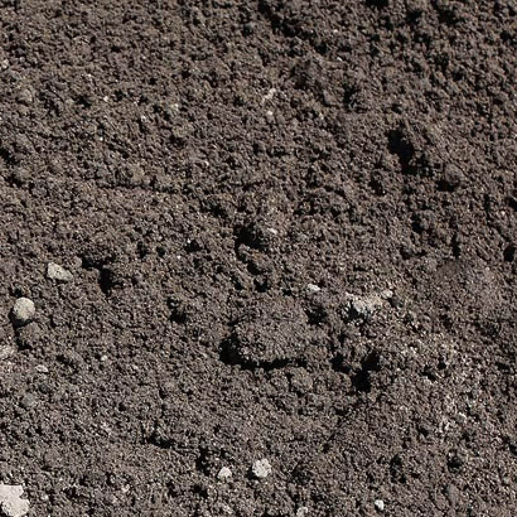 BS3882 topsoil